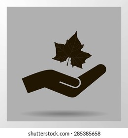 Maple Leaf Silhouette for your design. vector illustration