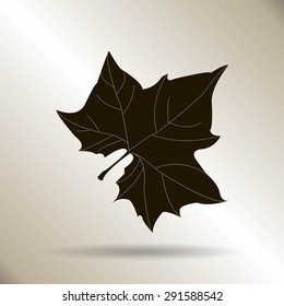 Maple Leaf Silhouette for your design. vector illustration