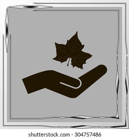 Maple Leaf Silhouette for your design. vector illustration
