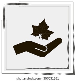 Maple Leaf Silhouette for your design. vector illustration