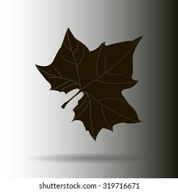 Maple Leaf Silhouette for your design. vector illustration