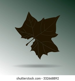 Maple Leaf Silhouette for your design. vector illustration