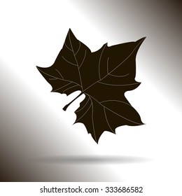 Maple Leaf Silhouette for your design. vector illustration