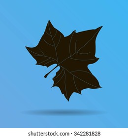 Maple Leaf Silhouette for your design. vector illustration