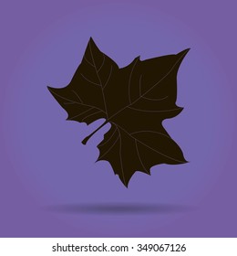 Maple Leaf Silhouette for your design. vector illustration