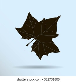 Maple Leaf Silhouette for your design. vector illustration