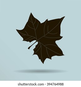 Maple Leaf Silhouette for your design. vector illustration