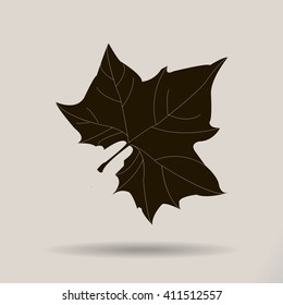 Maple Leaf Silhouette for your design. vector illustration