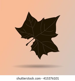 Maple Leaf Silhouette for your design. vector illustration