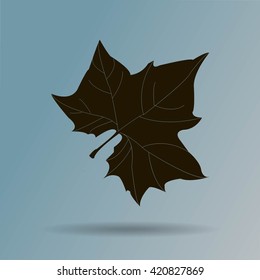 Maple Leaf Silhouette for your design. vector illustration