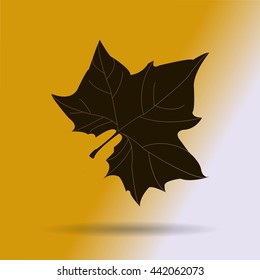 Maple Leaf Silhouette for your design. vector illustration