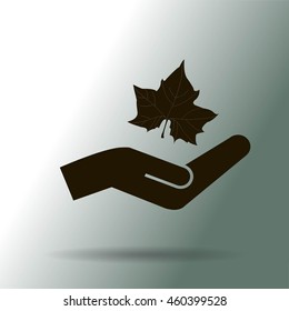 Maple Leaf Silhouette for your design. vector illustration