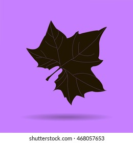 Maple Leaf Silhouette for your design. vector illustration