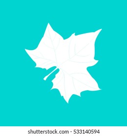 Maple Leaf Silhouette for your design. vector illustration