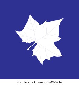 Maple Leaf Silhouette for your design. vector illustration