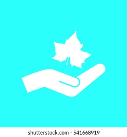 Maple Leaf Silhouette for your design. vector illustration