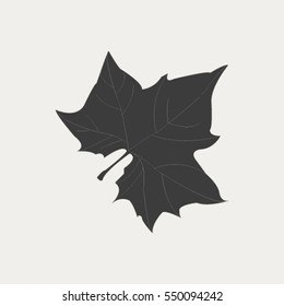 Maple Leaf Silhouette for your design. vector illustration