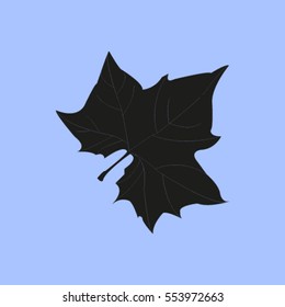Maple Leaf Silhouette for your design. vector illustration