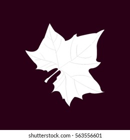 Maple Leaf Silhouette for your design. vector illustration