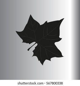 Maple Leaf Silhouette for your design. vector illustration