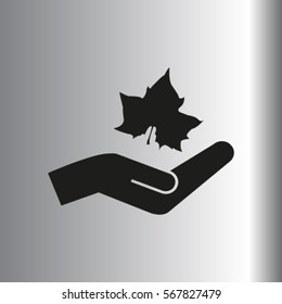 Maple Leaf Silhouette for your design. vector illustration