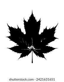 Maple leaf silhouettes, Maple leaf icon