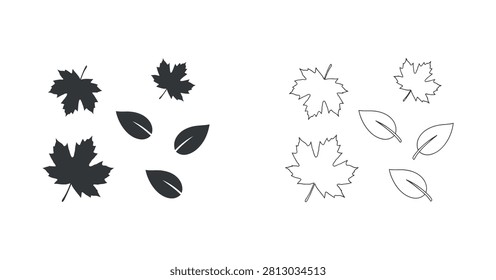 Maple leaf silhouettes and line art renderings on a plain surface foliage leaves