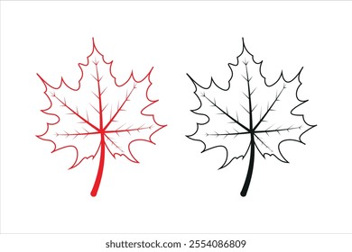 maple leaf simple outline icon