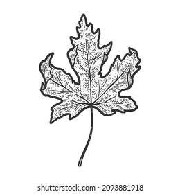 532 Maple leaf tattoo black white Images, Stock Photos & Vectors ...