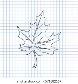 Maple Leaf Sketch. Vector