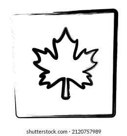 maple leaf, strokes in a frame, vector illustration.