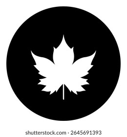 A maple leaf symbol in the center. Isolated white symbol in black circle. Vector illustration on white background