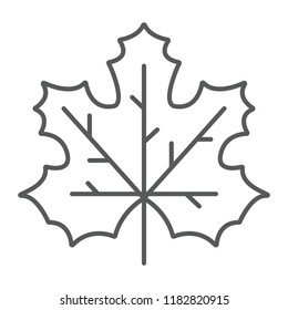 Maple leaf thin line icon, canada and nature, autumn sign, vector graphics, a linear pattern on a white background, eps 10.
