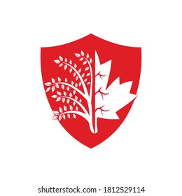 Maple leaf and tree vector design template. Canada business shield sign.