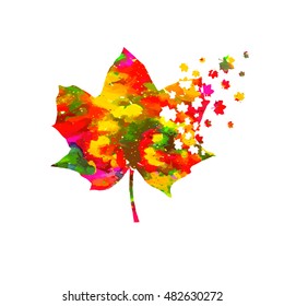 Maple Leaf varicolored. Vector