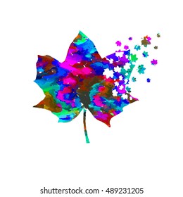 Maple Leaf varicolored. Vector