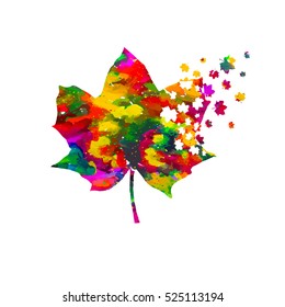Maple Leaf varicolored. Vector