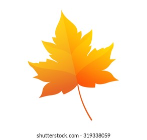 Maple leaf vector