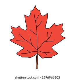 Maple leaf vector. Autumn leaf coloring pages for kids.  Kindergarten and preschool worksheets printable for kids. Bright Autumn Leaf. Maple leaves clipart, icon, element vector.