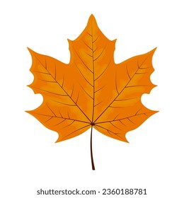 Maple Leaf vector. Colorful autumn maple leaf in cartoon style isolated on white background. Bright orange yellow fall leaf in flat style. Vector illustration