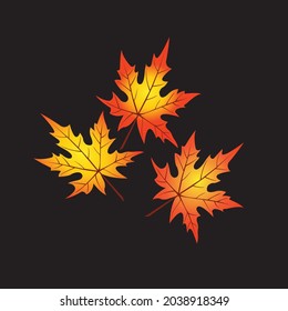 Maple leaf vector design with black blackground 