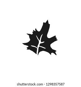 maple leaf vector doodle sketch isolated on white background