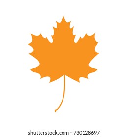 Maple leaf vector flat icon, isolated on white background. Autumn orange maple leaf graphic print or pattern, illustration.