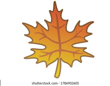 Maple leaf - vector full color illustration. Autumn orange maple leaf.