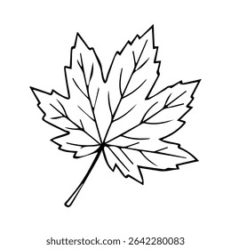 Maple leaf. Vector graphics. Simple drawn clipart on white background.