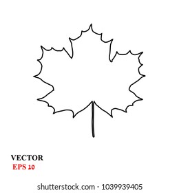 maple leaf. vector icon