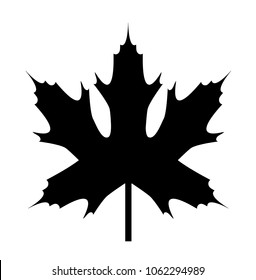 maple leaf. vector icon
