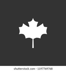 Maple leaf vector icon