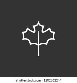 Maple leaf vector icon