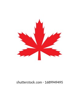 Maple leaf vector icon.